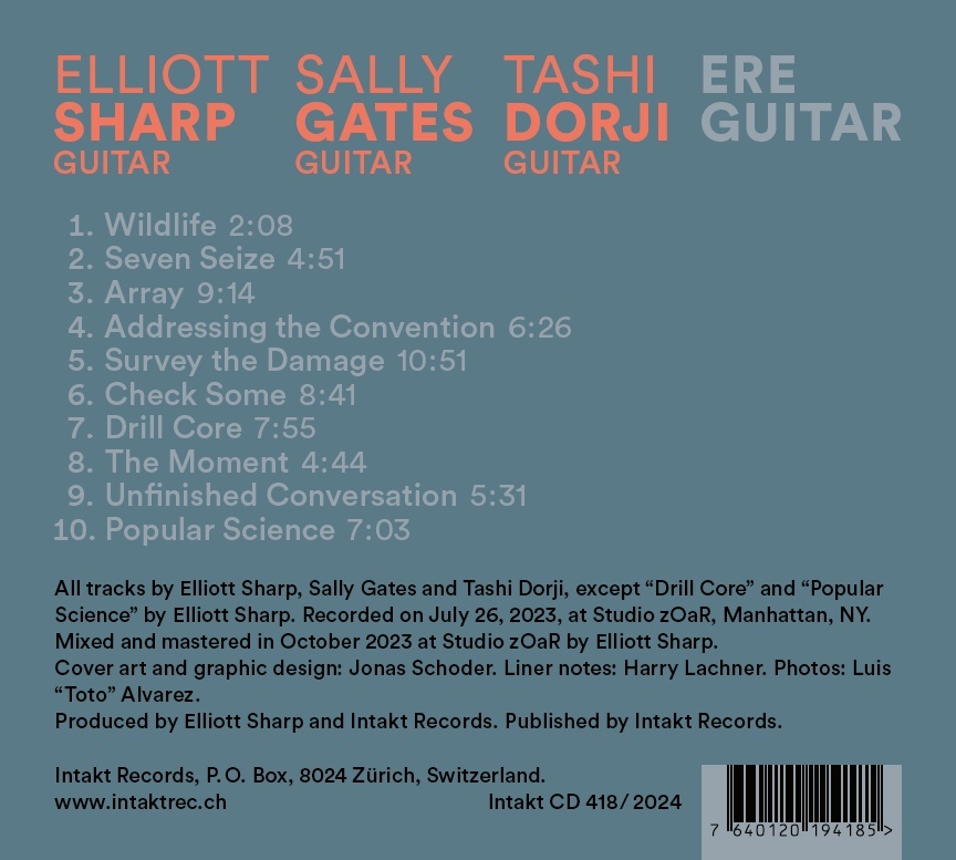 Sharp/Gates/Dorji: Ere Guitar  - slide-1